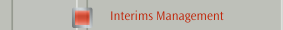 Interims Management
