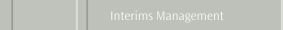 Interims Management