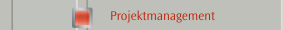 Projektmanagement