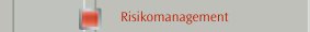 Risikomanagement