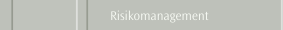 Risikomanagement